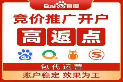 从小白到高手：百度竞价赚钱全记录